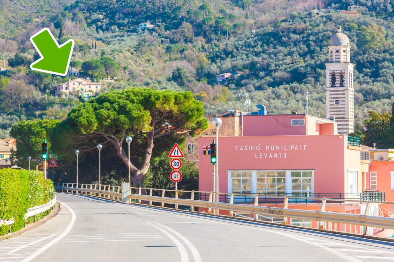 Villa Olivi Del Mesco Levanto Exterior foto